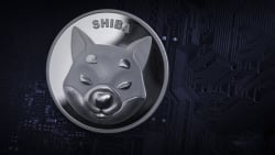 3.8 Trillion Shiba Inu (SHIB) Moved in Recent Hour, What's Happening?
