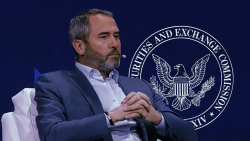 Brad Garlinghouse Reveals Astonishing Facts About SEC And Hinman After Docs Release