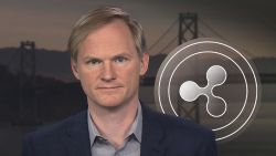 BitGo CEO Reveals Why He Wants Ripple to Win