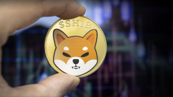 28 Billion SHIB Shifted to Top Exchanges After SHIB's Recent Price Move