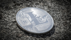 Litecoin (LTC) Daily Holders Grew 8%, Here Are Key Growth Markers to Watch