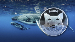 SHIB Whales' Netflows Eye Explosive $1 Million Surge as Shiba Inu Price Soars