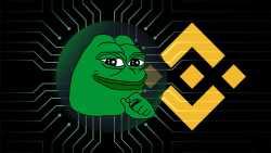 Almost 2 Trillion PEPE Withdrawn From Binance; What's Happening?