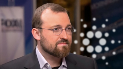 Cardano Is 'Growing' Under Harshest Conditions: Charles Hoskinson