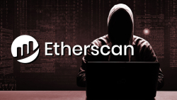 Here's How to Detect Crypto Scam With Etherscan Knowing Only Website Name