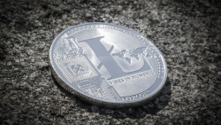Litecoin (LTC) Next Price Direction Hinted at by Crypto Analyst: Details
