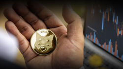 Here's Why Shiba Inu (SHIB) Has Hope, Despite Suppressed Price