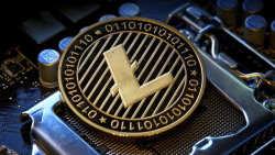 Litecoin Halving Countdown in Next 27 Days, LTC Millionaires Increase