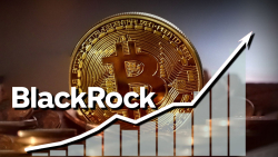 BTC Holdings of Funds See Strong Uptick Thanks to BlackRock