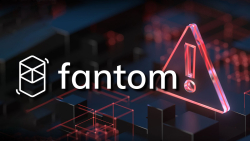 Scam Alert: Multichain Hack Victims Targeted by Fantom (FTM) Impersonators