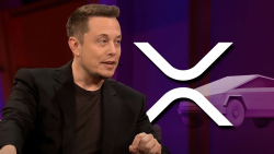 Major XRP Fan Says He Will Buy Tesla's Cybertruck After Elon Musk's New Tweet