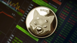 Whales Move 542 Million SHIB Ahead of Upcoming Shibarium Launch