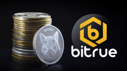 SHIB Community Receives Exciting News From Bitrue Crypto Exchange