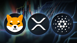 How SHIB, XRP, ADA Might Benefit as Glassnode CEO Predicts Market Rotation