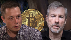 Elon Musk's New Tweet Gets Unexpected 'Bitcoin Response' From Michael Saylor: Details
