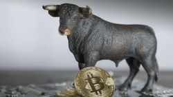 Bitcoin Funding Rates Looking Bullish, Here's What It Means