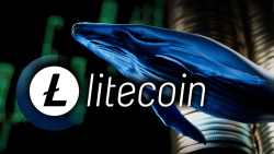 Massive Litecoin (LTC) Buy-up by Whales Ongoing, Halving Sentiment at Play?