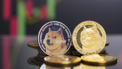 Dogecoin (DOGE) Forms Rare Pattern That Might Push Price 20,000%: Analyst