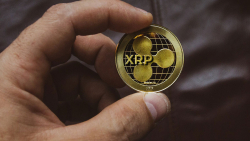 XRP Now Oversold, Here's Next Potential Move