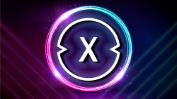 XDC Crypto Breaks into the Top 50, Here's What Drives its Success