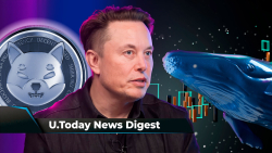 Elon Musk Makes Unexpected Shiba Inu Mention, New Indicator Shows SHIB Popular Among New Investors, Whales Move 49 Billion SHIB: Crypto News Digest by U.Today