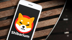 Shibarium Bridge Launched in Beta, But There's Warning From SHIB Team