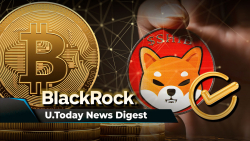 SHIB Account Gets New Gold Check Mark, BlackRock Names Optimal BTC Share in Risk Portfolio, Ripple's Exec Drops Update on Joint Project With Montenegro: Crypto News Digest by U.Today