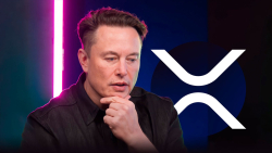 XRP Army Happy With Elon Musk's New Tweet, Here's Why