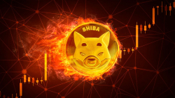 SHIB Burns Jump as Shiba Inu Surpasses XLM, BCH and AVAX: Details