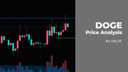 DOGE Price Analysis for July 29