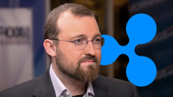 Cardano Founder Reacts to Ripple Lawsuit Win: Details