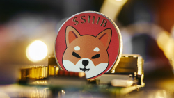 Shiba Inu (SHIB) Giveaway Announced, Here's What It's For