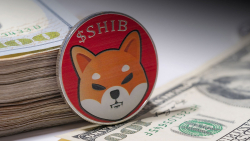 Shiba Inu (SHIB) Chances to Hit $0.000009 Are Solid: Pity Resistance Level
