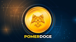 Pomerdoge (POMD) Pre-Sale Might be in Spotlight in Q3, 2023 while Stacks (STX) and Stellar (XLM) Altcoins Communities Keep Confidence