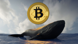Satoshi-Era Bitcoin Whale Awakens After Years of Silence