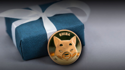 Shiba Inu Unleashes Global Birthday Bash for SHIB Community
