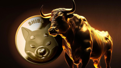 Shiba Inu (SHIB) Bulls Absolutely Destroyed Massive Resistance