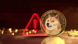 Dogecoin Dev Issues Major DOGE Alert: Here's What Happened