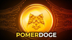 Pomerdoge (POMD) Pre-Sale Might be Garnering Traction in August, 2023 as Shiba Inu (SHIB) Community Excited about Shibarium