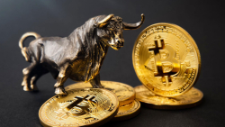 Top Bitcoin Analyst Calls 'Buy the Dip' Amid Bullish Signal