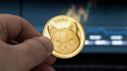 3 Reasons Why Shiba Inu (SHIB) Uptrend Might Be Over Already