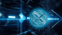 XRP On-chain Data Has Something to Tell Us