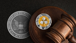 Ripple Drama Continues as SEC Strikes Back with Appeal Request