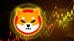 Shiba Inu (SHIB) Lights Up: Sparks New Price Rally