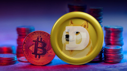 DOGE Co-Founder Slams Bitcoin Maxis as 'Mentally Ill Group of Insecure Losers'