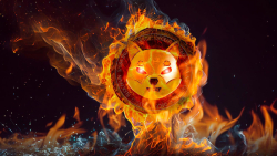 Shiba Inu Celebrates Festival of Fire With Hundreds of Millions of SHIB Burned
