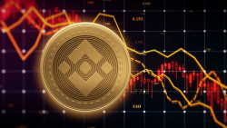 Binance Coin (BNB) Price Could See 30% Crash If It Doesn't Do This