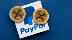 XRP Army Discusses PayPal Listing Prospects: Details