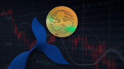 XRP Sees Unprecedented Whale Activity as Price Dips