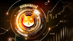 Shibarium Testnet Publishes Wallet Update as Number of Transactions Surges